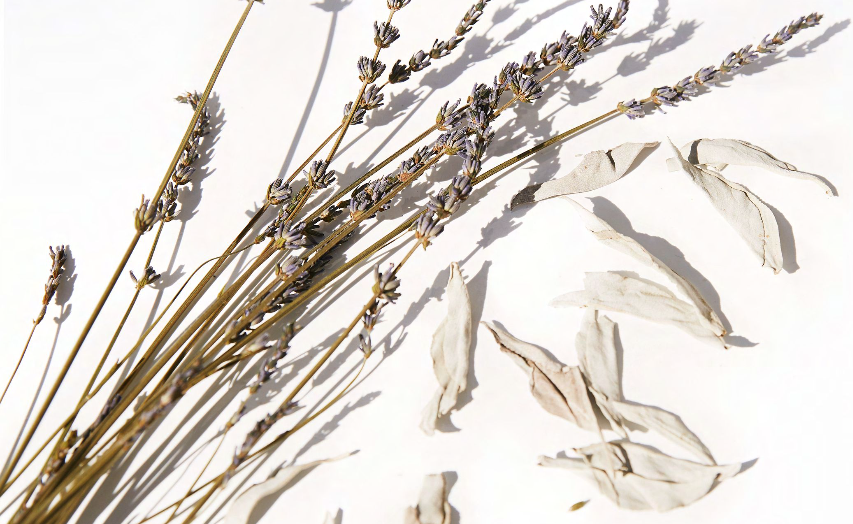 Candle Fragrances That We love To Relax With!